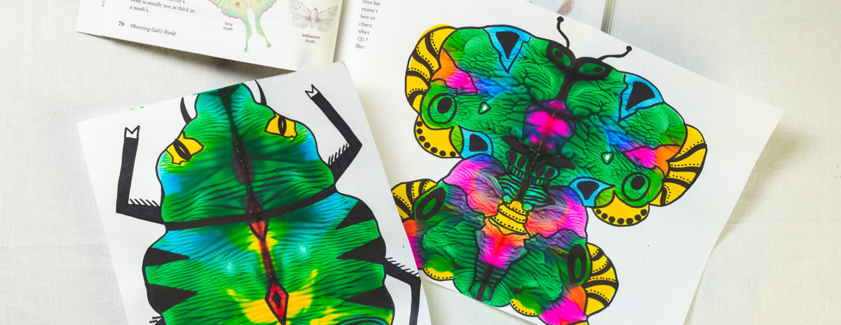 Abeka_HS_SymmetricalButterfly_Header