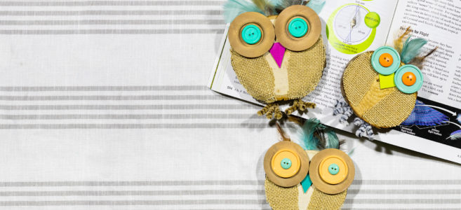 Abeka_Blog_Header_WOODCUTOWLS