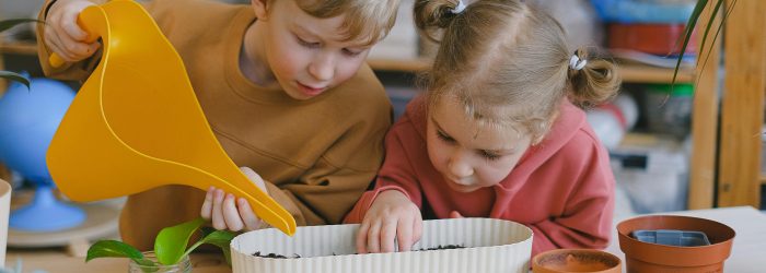 kids gardening